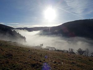 Herbst - Nebel in Tennenbronn