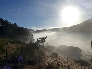 Herbst - Nebel in Tennenbronn
