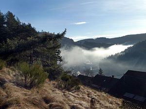 Herbst - Nebel in Tennenbronn