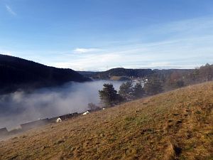 Herbst - Nebel in Tennenbronn