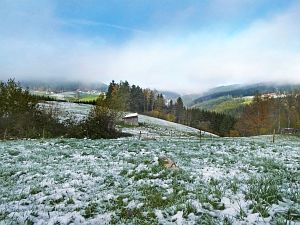 Herbst mit Schnee