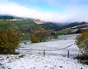 Herbst mit Schnee