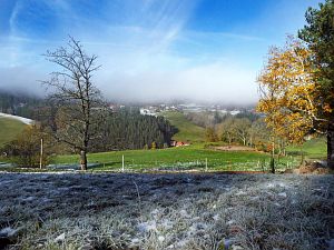 Herbst mit Schnee