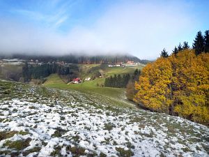 Herbst mit Schnee