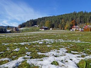 Herbst mit Schnee
