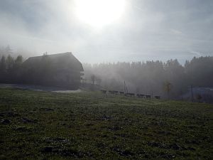 Herbst mit Schnee