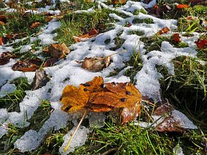 Herbst mit Schnee