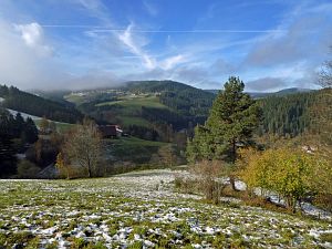 Herbst mit Schnee