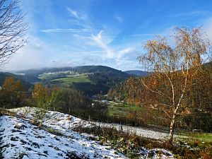 Herbst mit Schnee