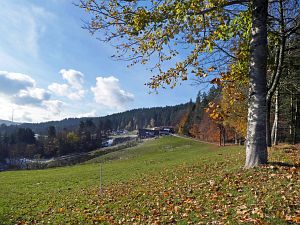 Herbst mit Schnee