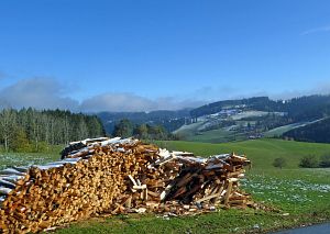 Herbst mit Schnee