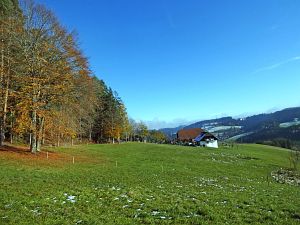 Herbst mit Schnee