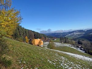 Herbst mit Schnee