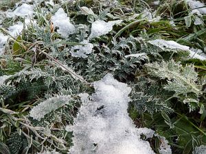 Herbst mit Schnee