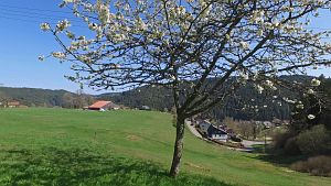 Osterimpressionen Tennenbronn 2019