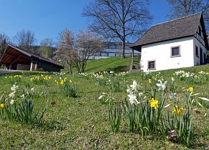Osterimpressionen Tennenbronn 2019
