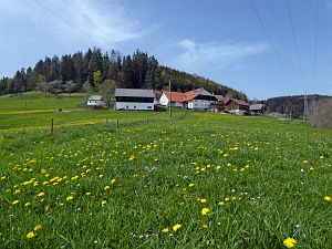 Osterimpressionen Tennenbronn 2019