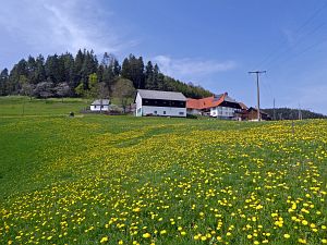Osterimpressionen Tennenbronn 2019