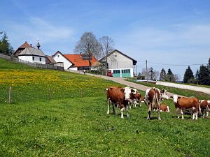 Osterimpressionen Tennenbronn 2019