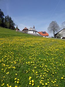 Osterimpressionen Tennenbronn 2019