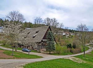 Osterimpressionen Tennenbronn 2019