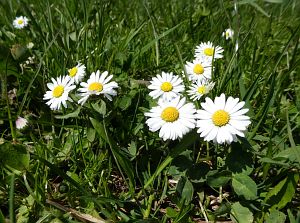 Osterimpressionen Tennenbronn 2019