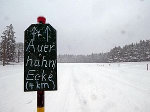 Schnee in Tennenbronn
