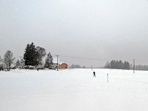 Schnee in Tennenbronn