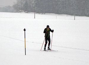 Schnee in Tennenbronn