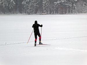 Schnee in Tennenbronn