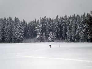 Schnee in Tennenbronn