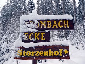 Schnee in Tennenbronn