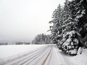 Schnee in Tennenbronn