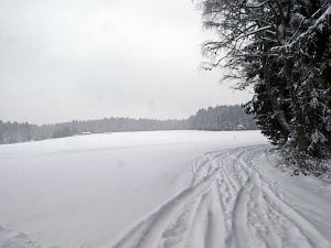 Schnee in Tennenbronn