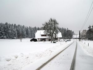 Schnee in Tennenbronn