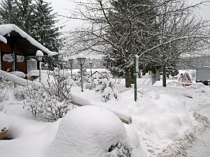 Schnee in Tennenbronn
