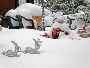 Schnee in Tennenbronn
