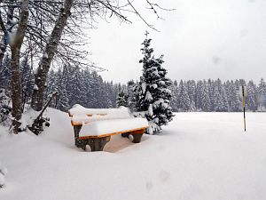 Schnee in Tennenbronn