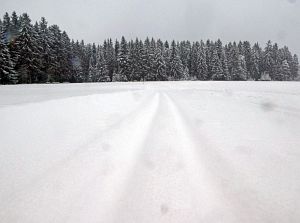 Schnee in Tennenbronn