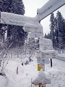 Schnee in Tennenbronn