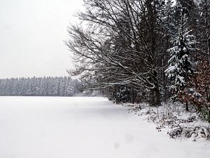 Schnee in Tennenbronn