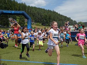 Schneider Run