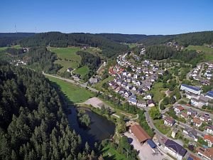 Orstansichten Tennenbronn