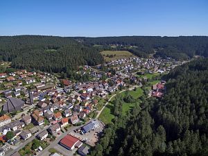 Orstansichten Tennenbronn
