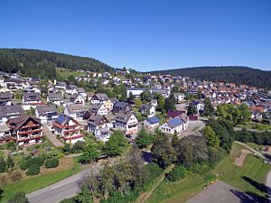 Orstansichten Tennenbronn