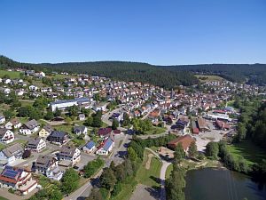 Orstansichten Tennenbronn