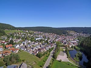 Orstansichten Tennenbronn
