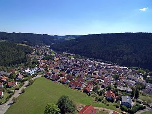 Orstansichten Tennenbronn