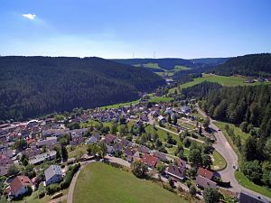 Orstansichten Tennenbronn