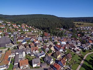 Orstansichten Tennenbronn